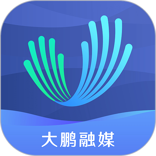 深圳深爱大鹏手机版