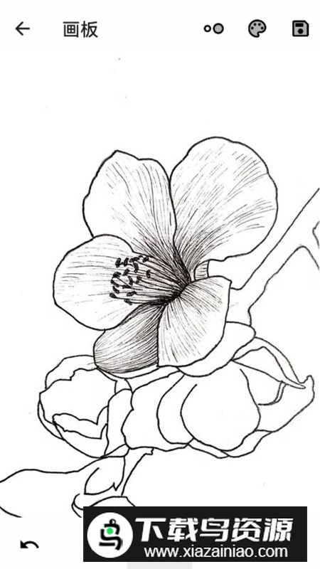 秋海棠宝箱app安卓版截图1