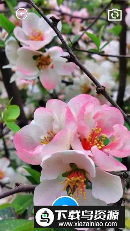 秋海棠宝箱app安卓版截图3