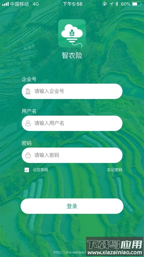 智农险app下载截图1
