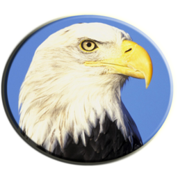 数学天堂app(数学之翼)