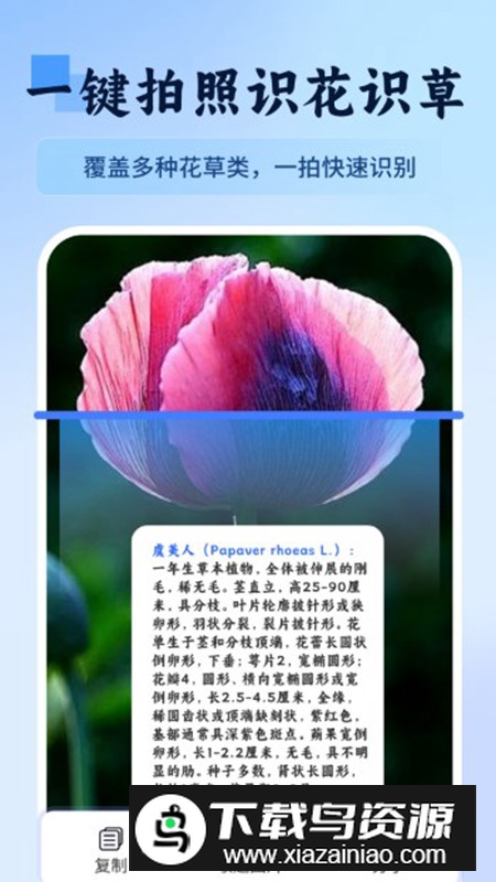 万物识图快拍易识别app最新版最新版截图1