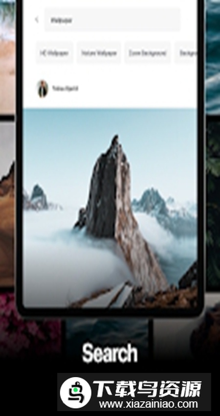 pexels免费素材app最新版截图2