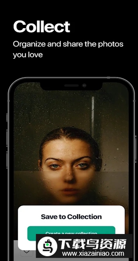 pexels免费素材app最新版截图3