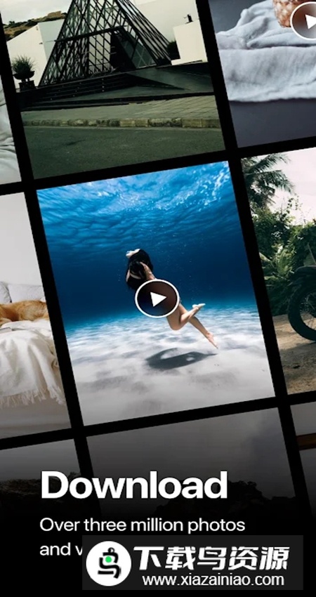 pexels免费素材app最新版截图4