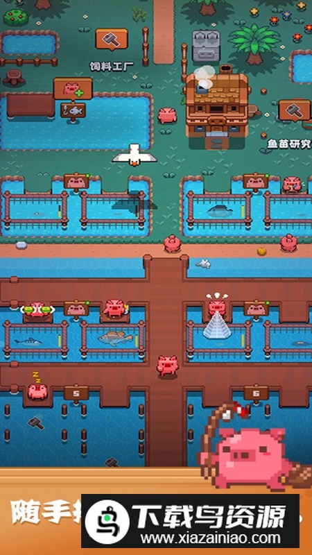 开拓猪之岛游戏最新版最新版截图1