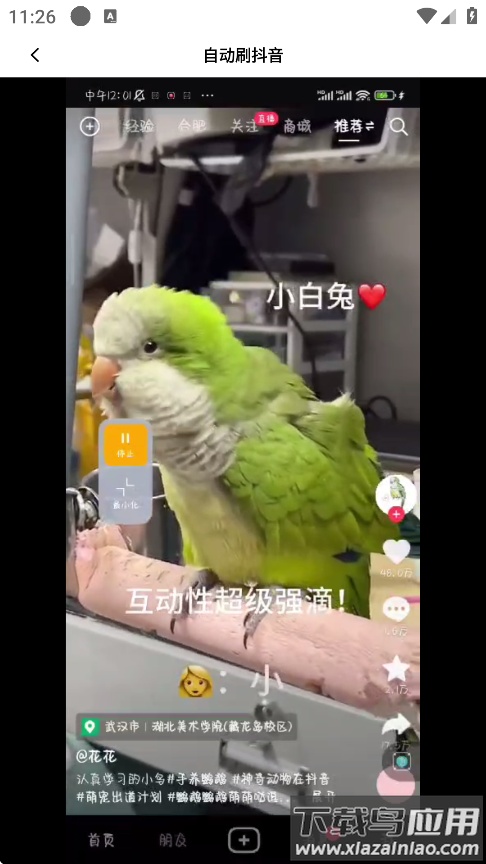 万用自动连点点击器app下载最新版截图4