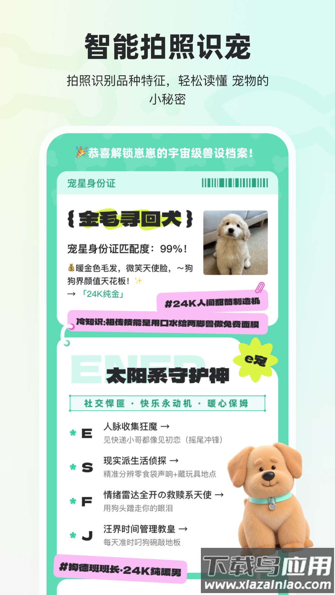 宠拍档app最新版截图3