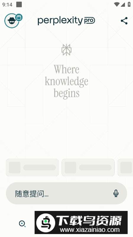 perplexity搜索引擎绿化版app最新版截图1