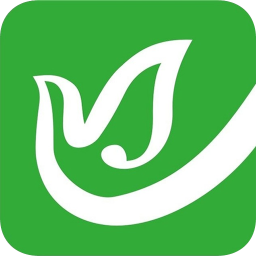 今日蒙城官方版