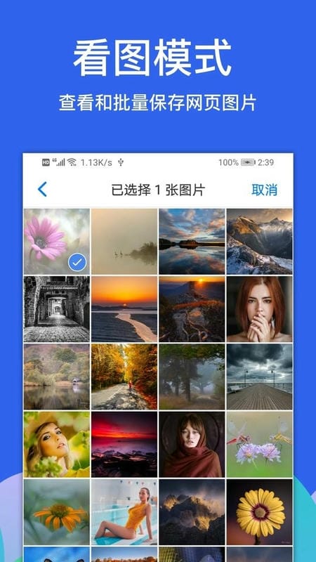 Alook浏览器手机版app最新版截图3