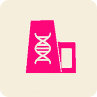 怒放有丝分裂免费正版手游