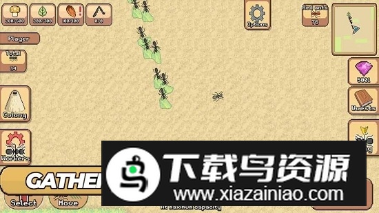 Pocket Ants蚂蚁模拟器无限食物破解版截图3