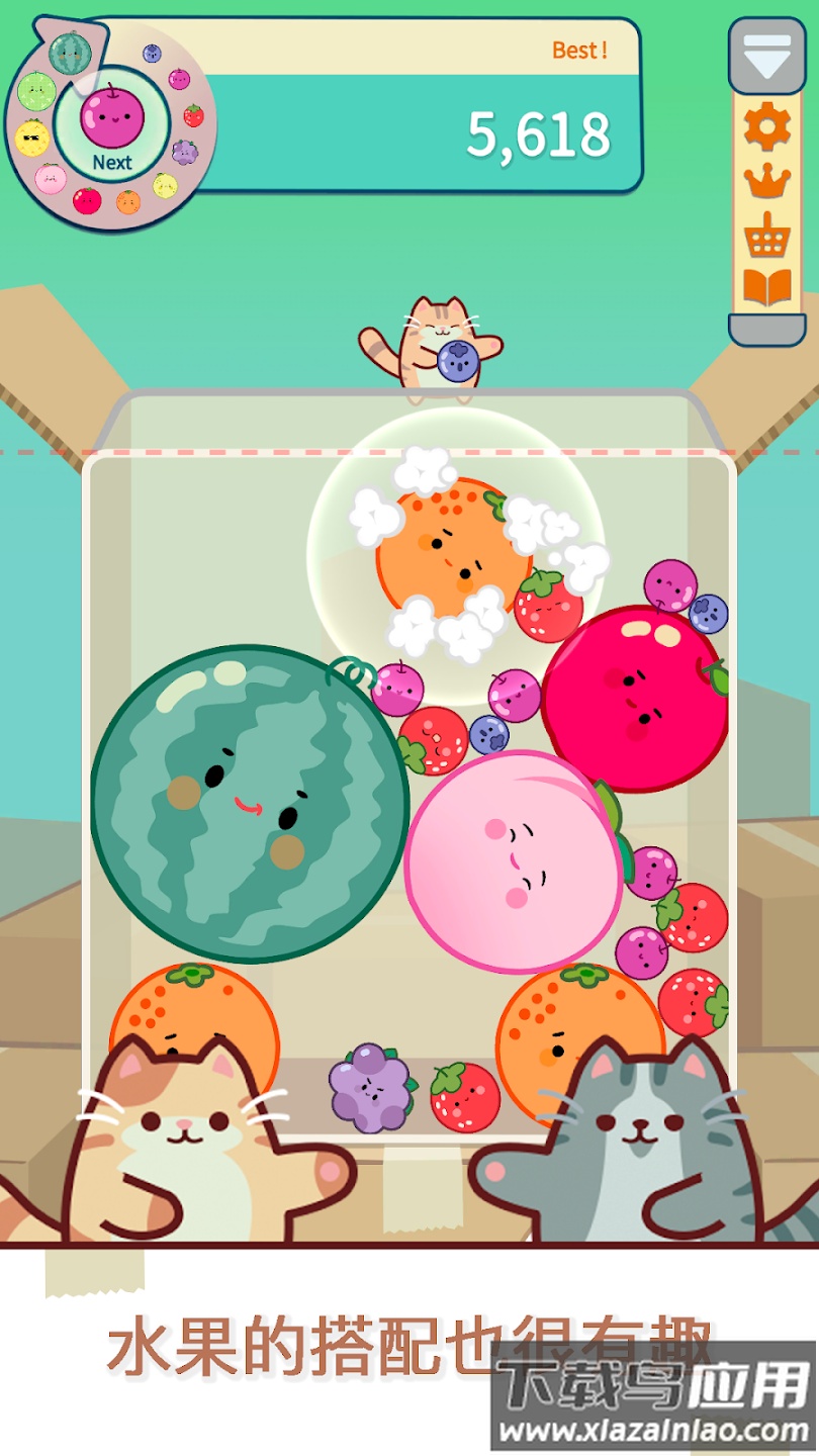 猫和西瓜游戏(Cat & Watermelon)截图3