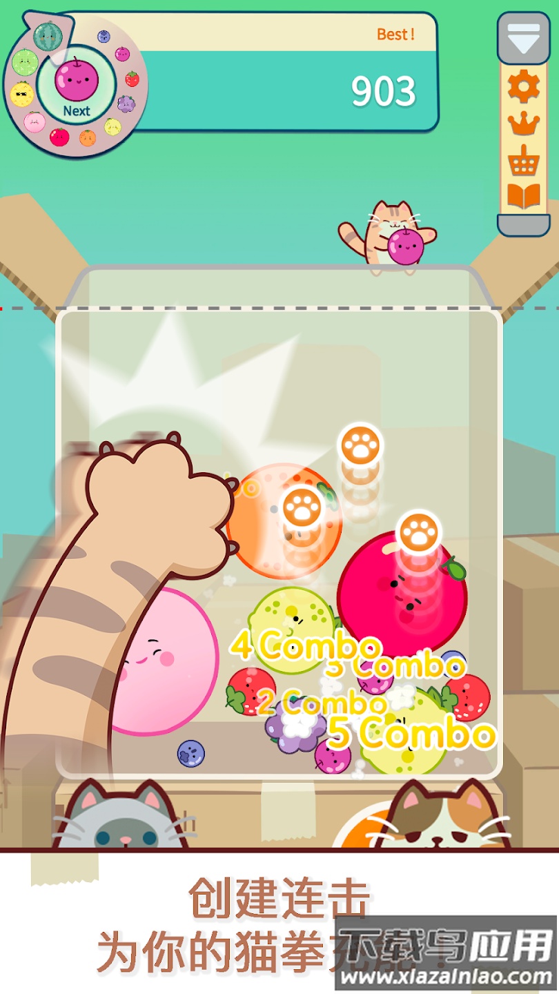 猫和西瓜游戏(Cat & Watermelon)截图7