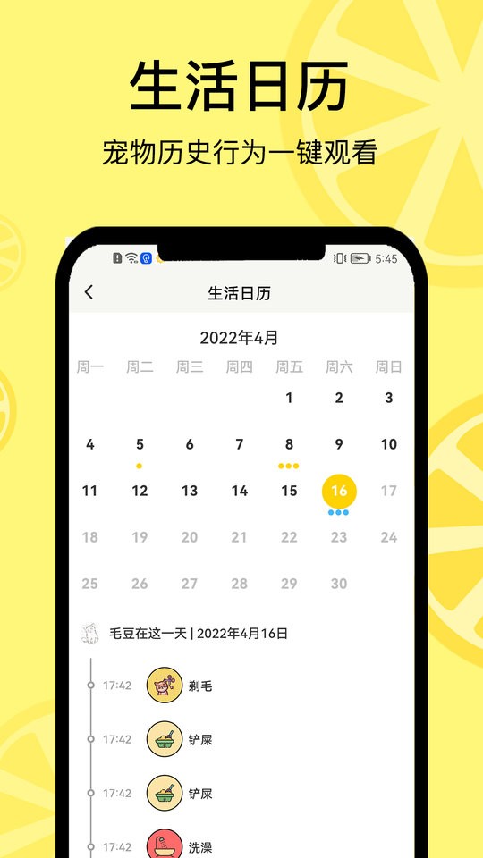 宠日常最新版最新版截图3