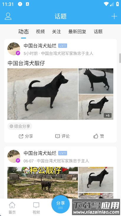 猛犬俱乐部明码交易区下载截图4