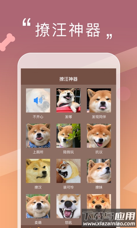 人狗交流器最新版最新版截图3