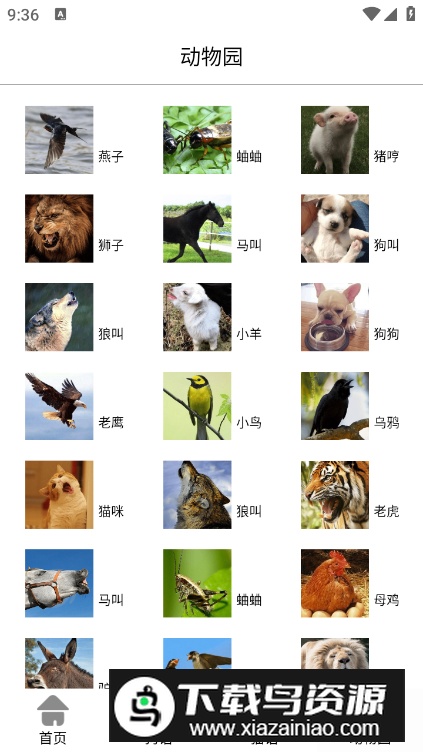 猫狗语翻译交流器安卓版最新版截图2