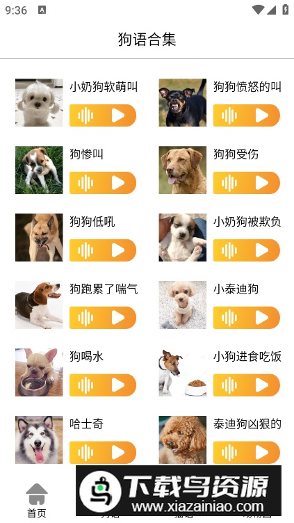 猫狗语翻译交流器安卓版最新版截图4