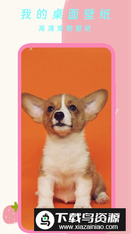 我的桌面壁纸app官方版截图2