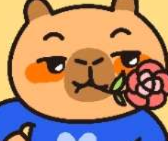 咔皮记账app免费版下载-咔皮记账app解锁会员版v0.8.13