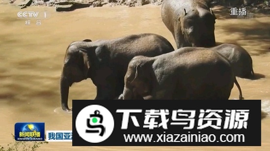 电视家9永久免费版电视版截图2