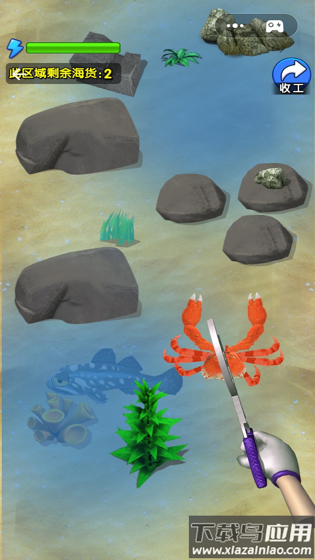 赶海日记手游下载最新版截图3