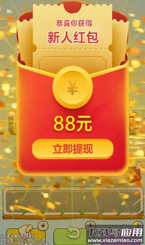 方块鸟大作战红包版截图2