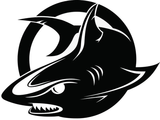 蓝龙v6.0直装永久版