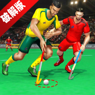 曲棍球比赛无限金币汉化版