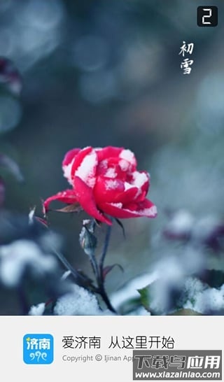 爱济南app下载安装最新版截图2