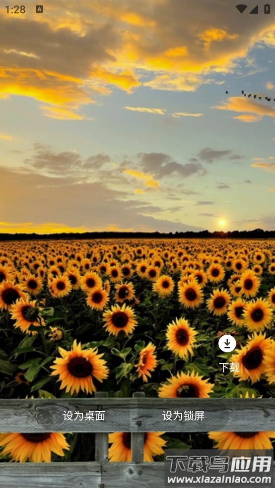 月光壁纸软件截图4