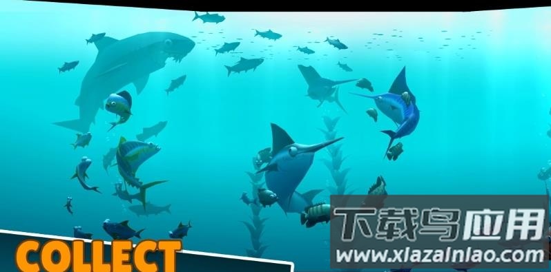 深海生物垂钓手游下载(Creatures of the Deep)最新版截图4