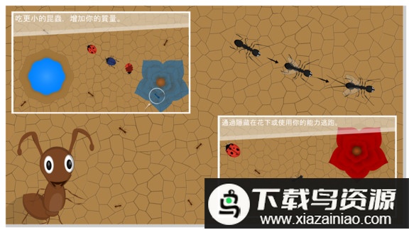 蚂蚁进化世界游戏最新版截图1