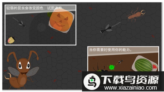 蚂蚁进化世界游戏最新版截图3
