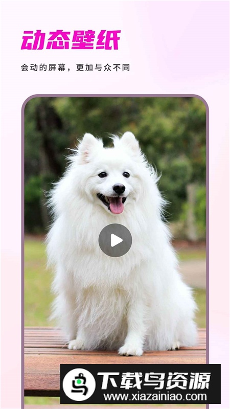 情侣屏保壁纸手机壁纸客户端截图4