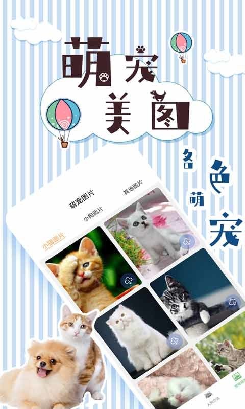 人猫翻译交流器最新版截图5
