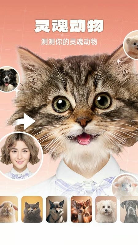 灵魂宠物官方版截图1