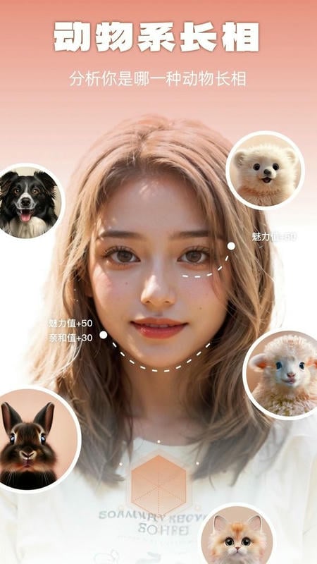 灵魂宠物官方版截图2