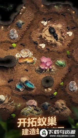 小小蚁国台湾服最新版截图1