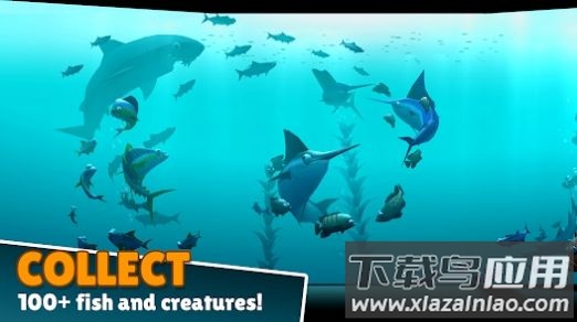 深海创造Creatures of the Deep最新版截图3