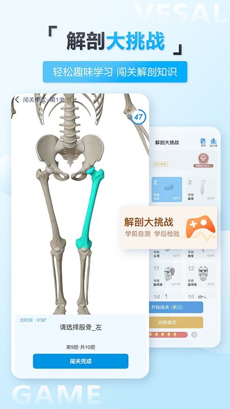 维萨里3d解剖教学截图4