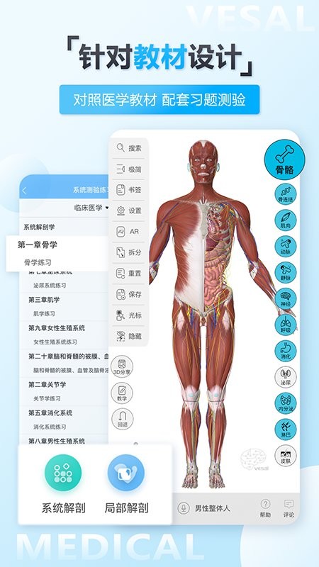 维萨里3d解剖教学截图5