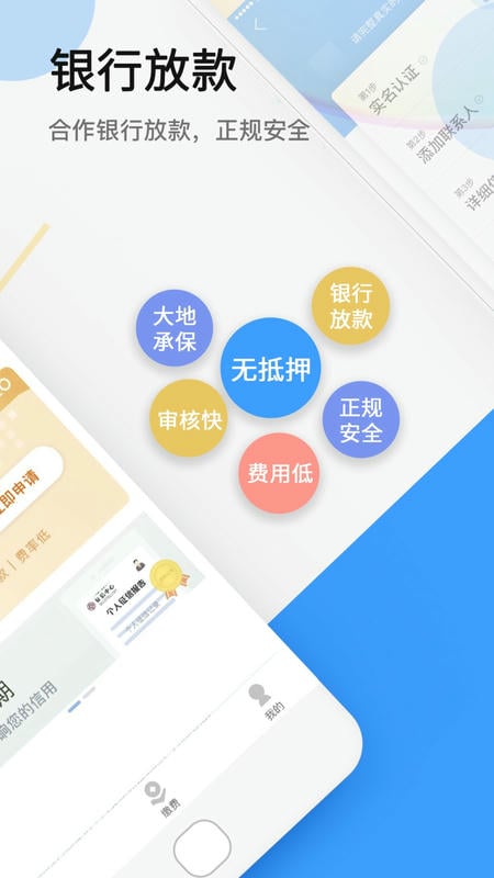 大地时贷险手机版截图3