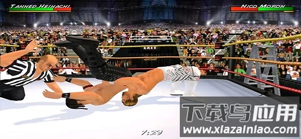摔跤革命3d汉化版下载截图4