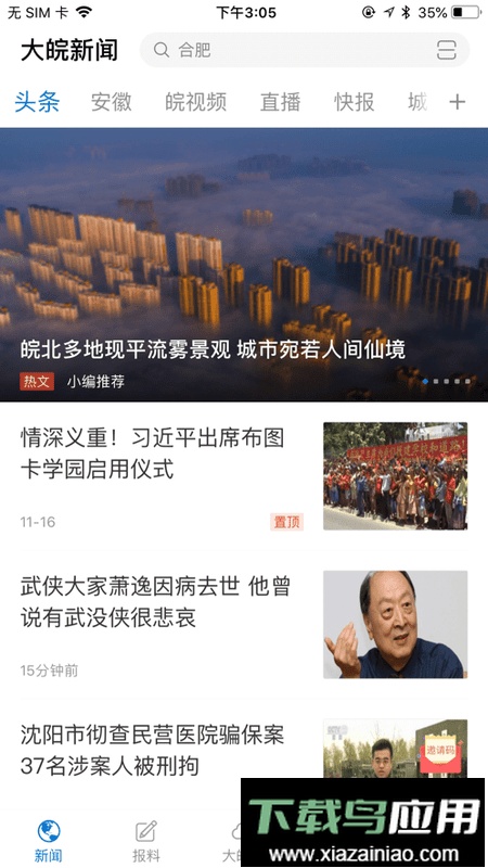 大皖新闻手机版截图2