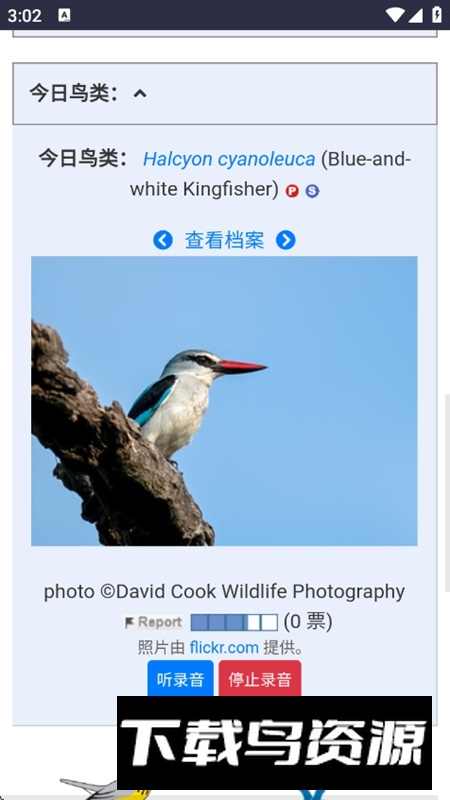 世界鸟类数据库APP官方最新版截图4