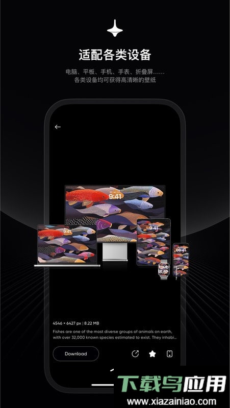 时空壁纸正版安装包截图1