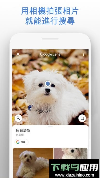 谷歌搜索2025最新版(Google)截图1
